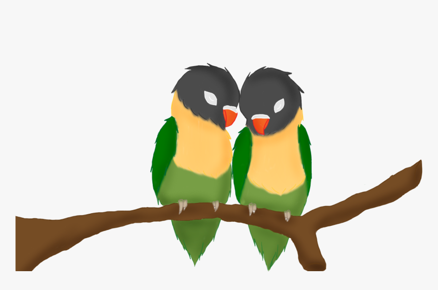 Transparent Love Birds Png - Birds As Anime, Png Download