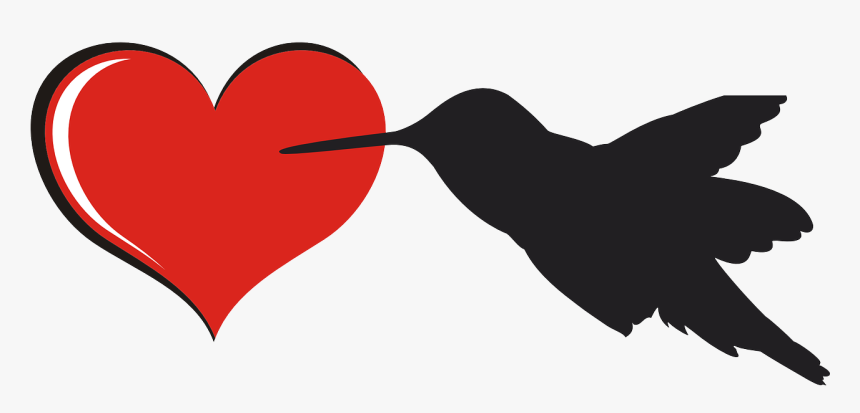 Bird Silhouette, HD Png Download