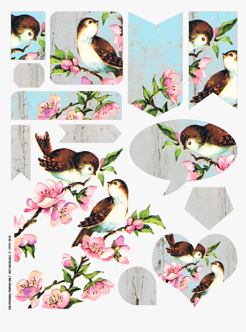 Free Vintage Bird Collage Sheet - Vintage Bird No Background, HD Png Download
