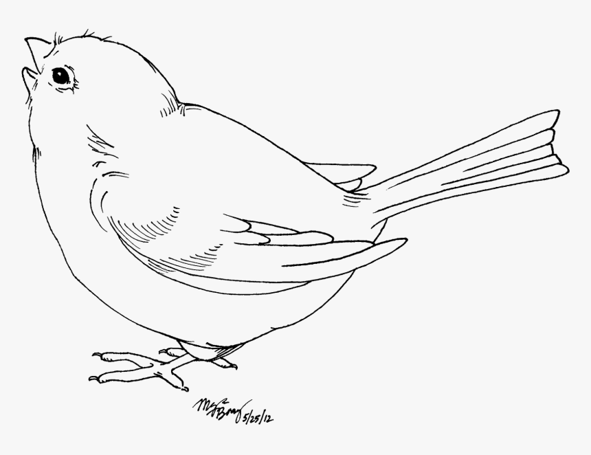 Bird Transparent Background Black And White, HD Png Download