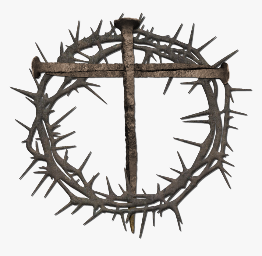 Crown Of Thorns Thorns, Spines, And Prickles Nail Cross, HD Png Download