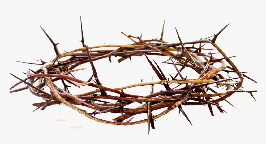 Crown Of Thorns Png Free Pic - Crown Of Thorns Png, Transparent Png