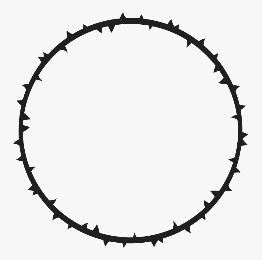 Crown Of Thorns Thorns, Spines, And Prickles Gender - Corona De Espinas Png, Transparent Png