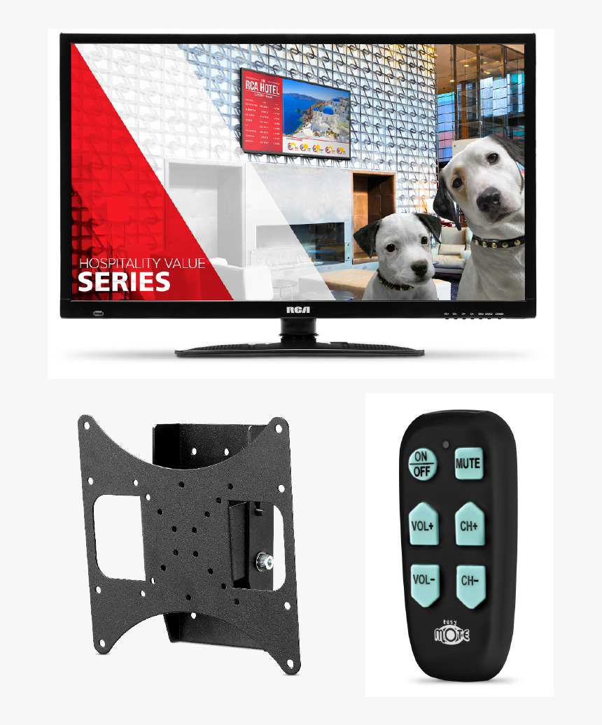 116200 1 - Dalmatian, HD Png Download