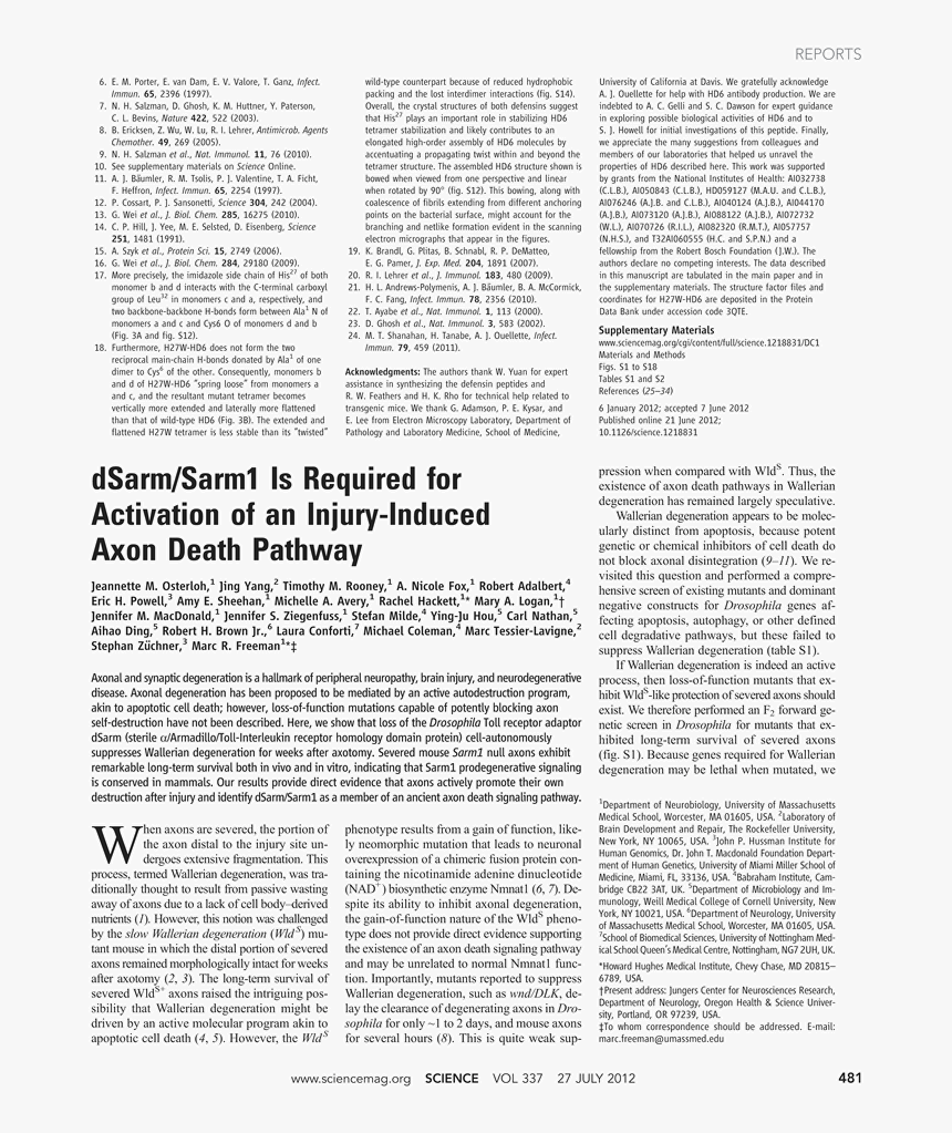 Document, HD Png Download