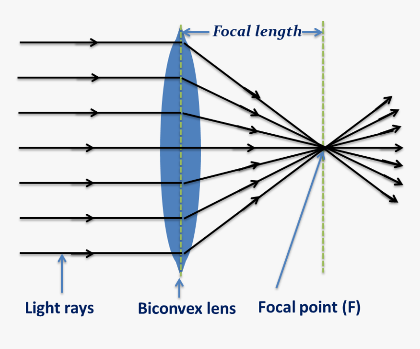 Biconvex Len- Converging Light Rays - Converging Rays, HD Png Download