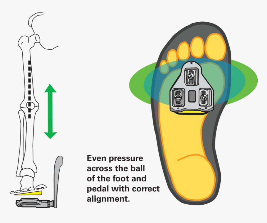 Clips Set Up Road Bike, HD Png Download
