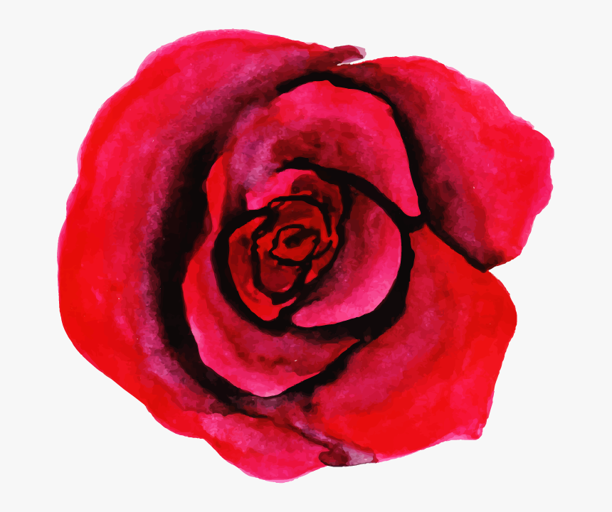 Floribunda, HD Png Download