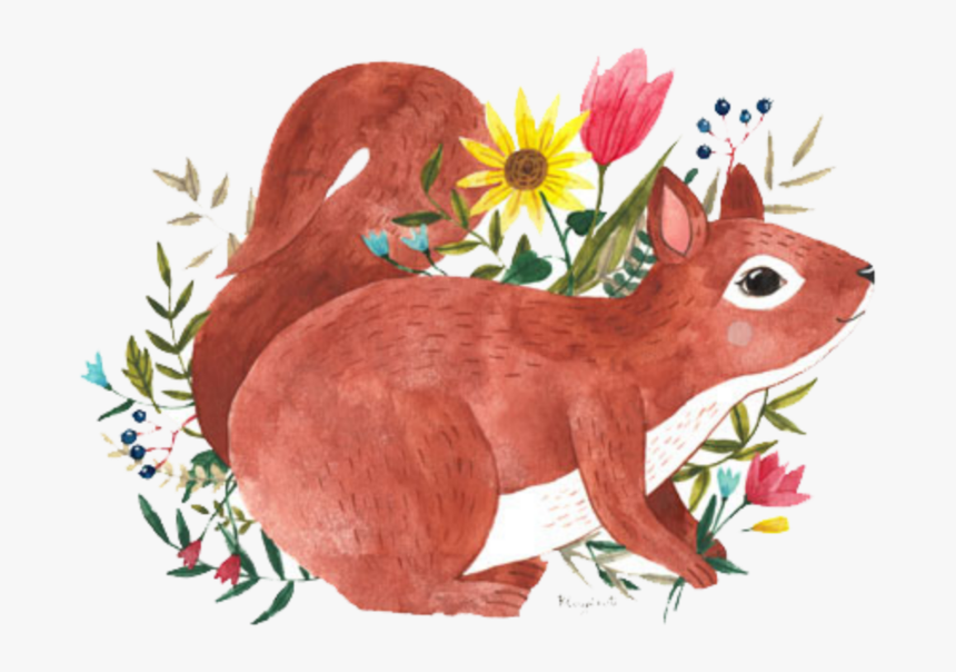 Squirrel Clipart Watercolor Png - Illustration, Transparent Png