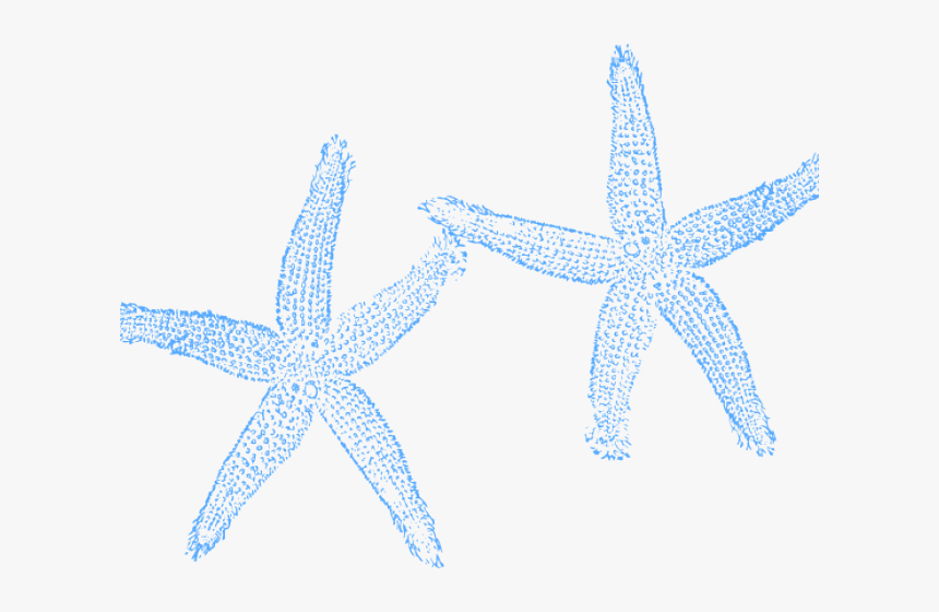 Fish Clip Art, HD Png Download