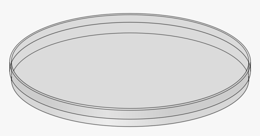 Petri Dish, Glass, Science, Agar-agar - Petri Dish Without Background, HD Png Download