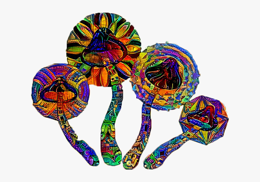 Daydreemer X Rancid Petri Dish Art, HD Png Download