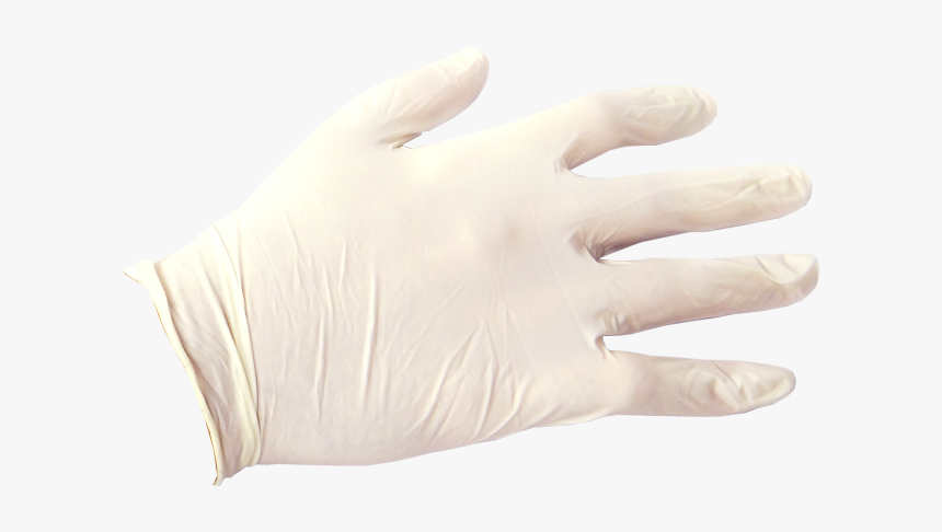 White Vinyl Exam Gloves, HD Png Download