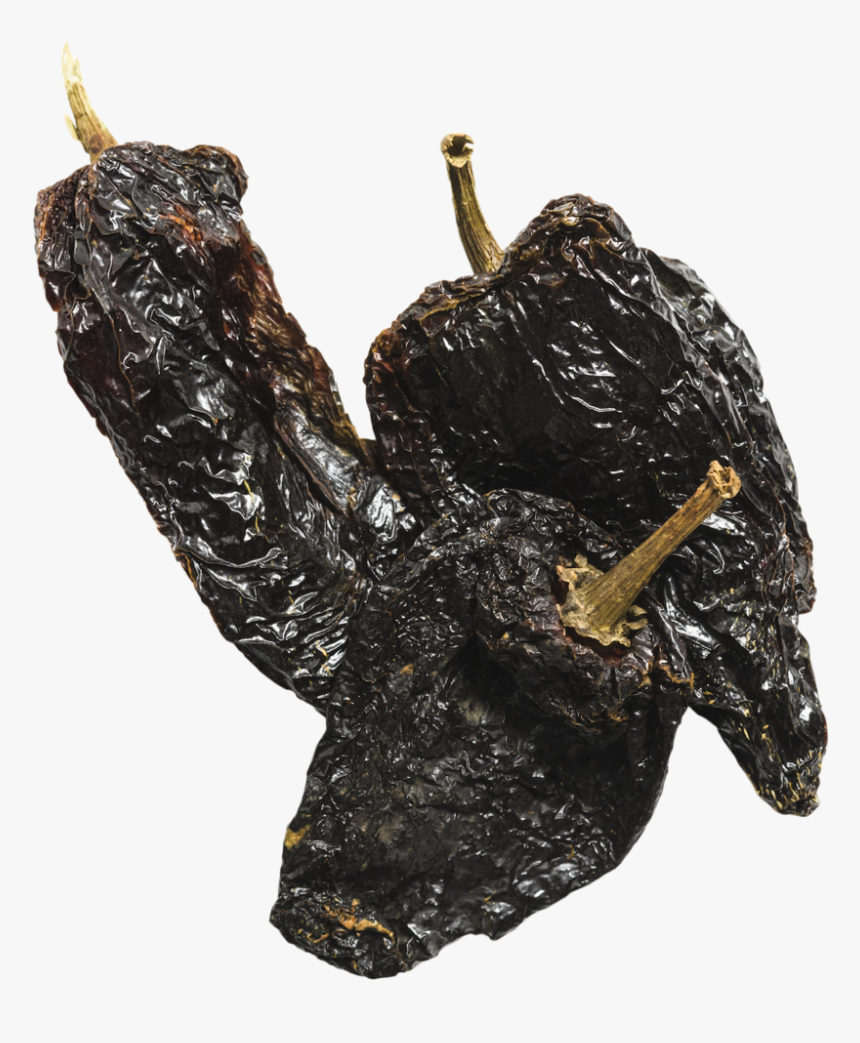 Snail, HD Png Download