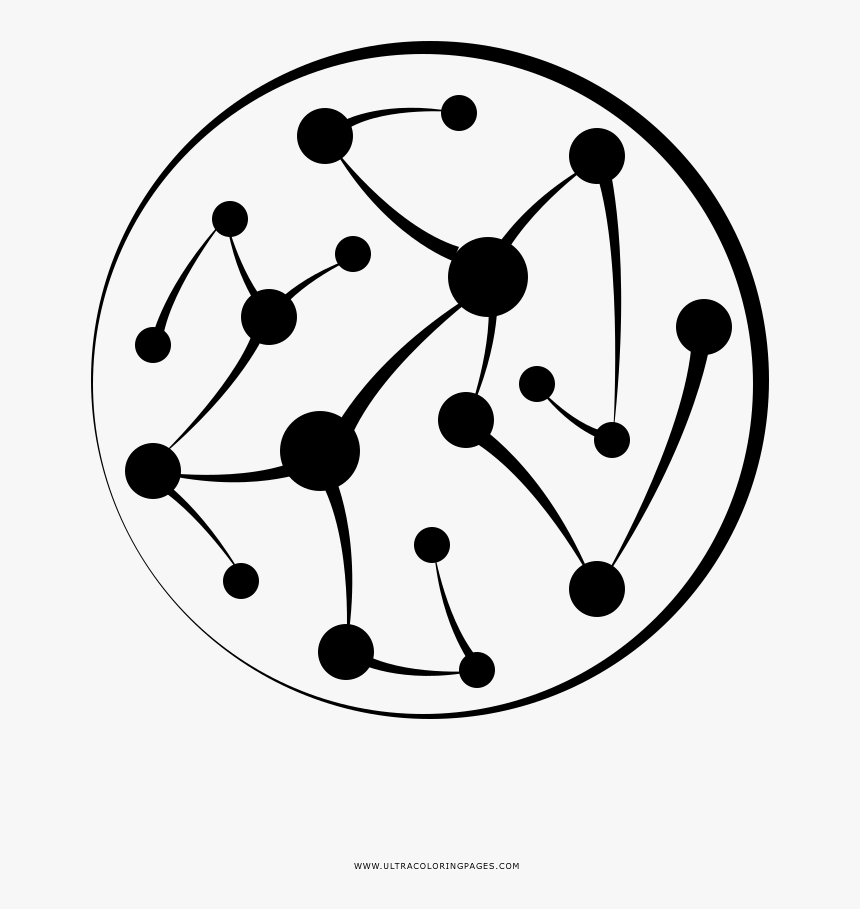 Petri Dish Coloring Page - Circle, HD Png Download