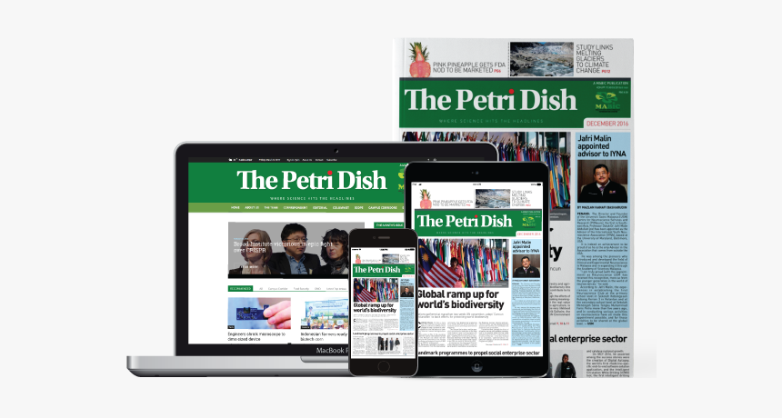 Online Advertising, HD Png Download