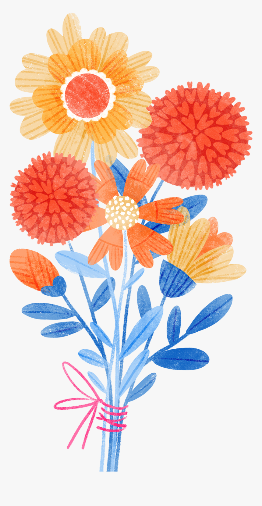 Chrysanths, HD Png Download