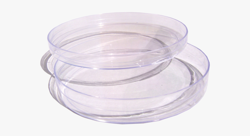 Serveware, HD Png Download