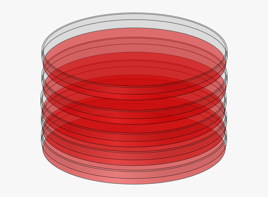 Petri Dish Png - Electrical Wiring, Transparent Png