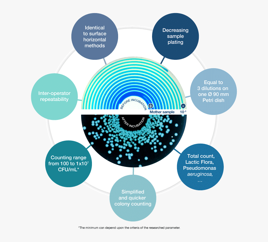 Img/png/methodespiral Eu-dist En - Spiral Plating Method, Transparent Png