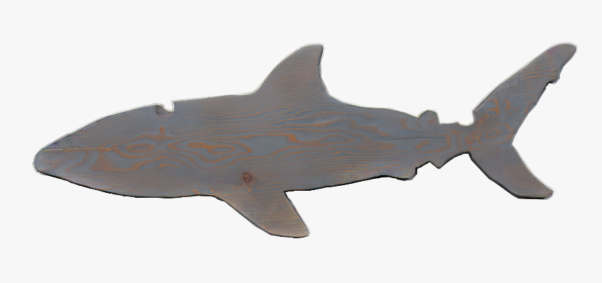 Class Lazyload Lazyload Mirage Cloudzoom Featured Image - Great White Shark, HD Png Download