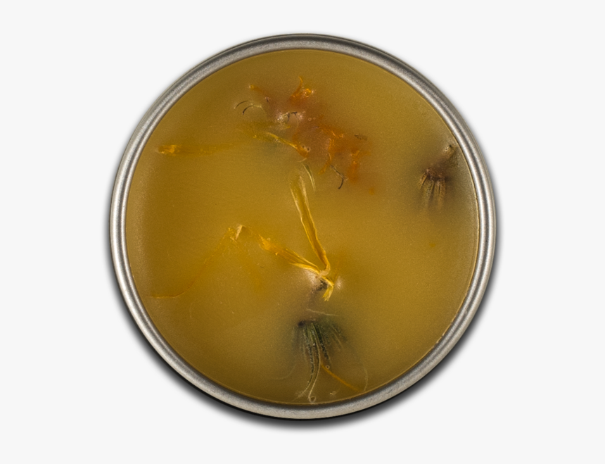 Petri Dish Png, Transparent Png