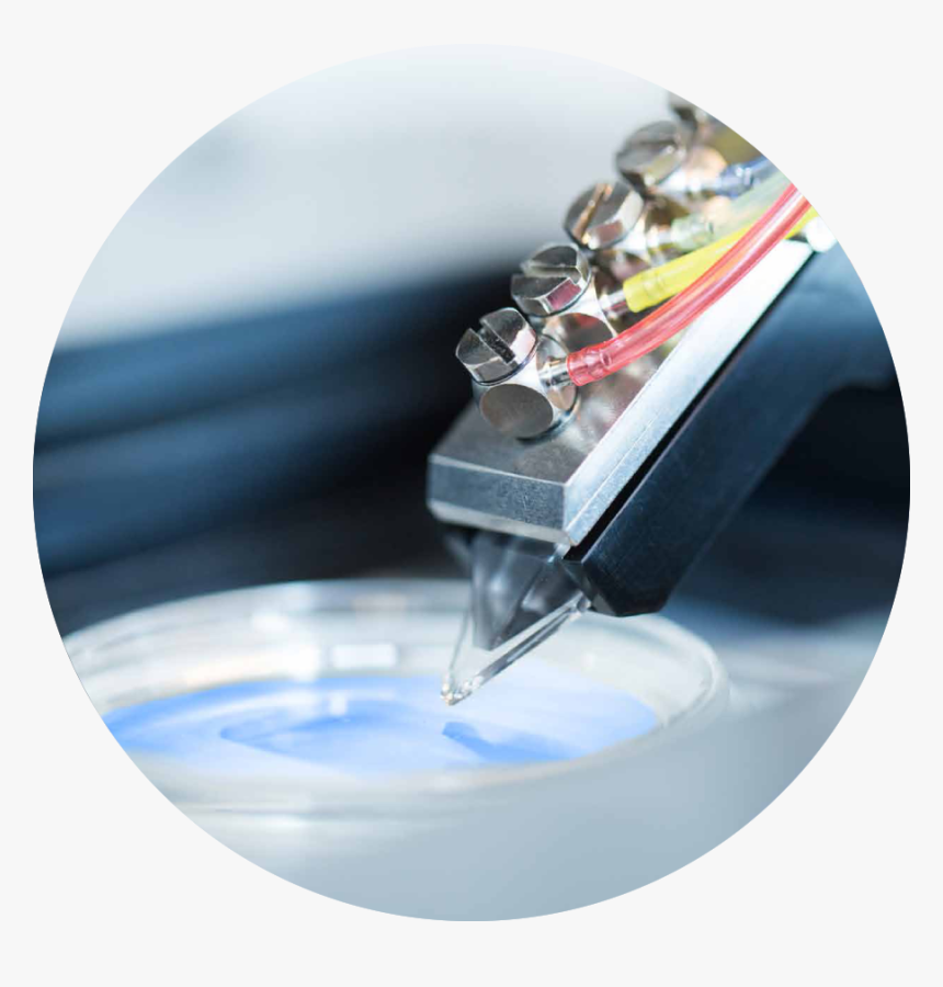 Circle, HD Png Download