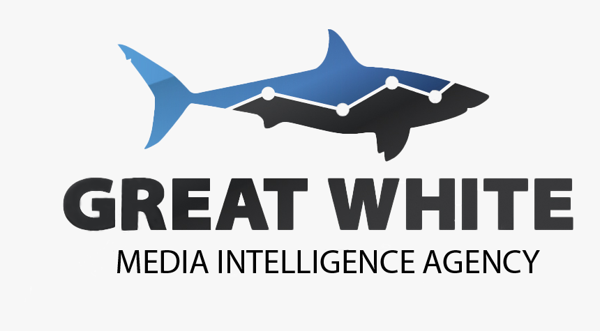 Shark, HD Png Download