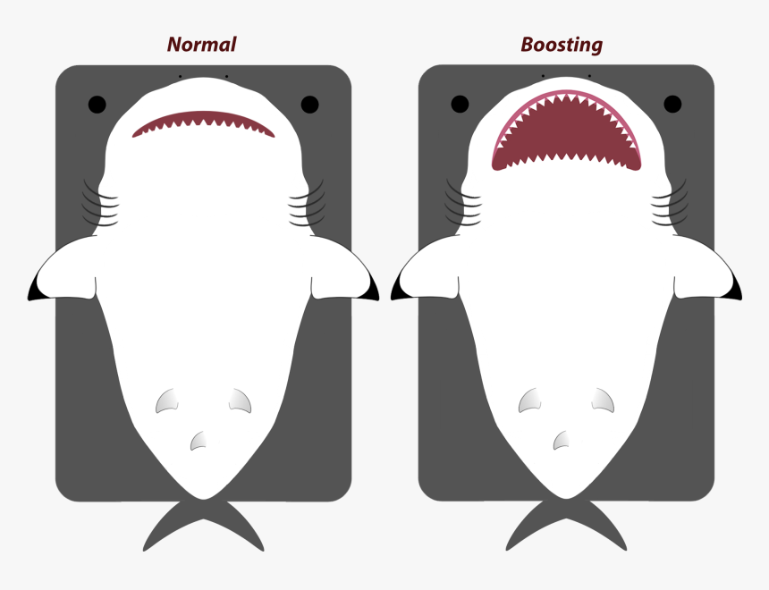 Tiger Shark, HD Png Download