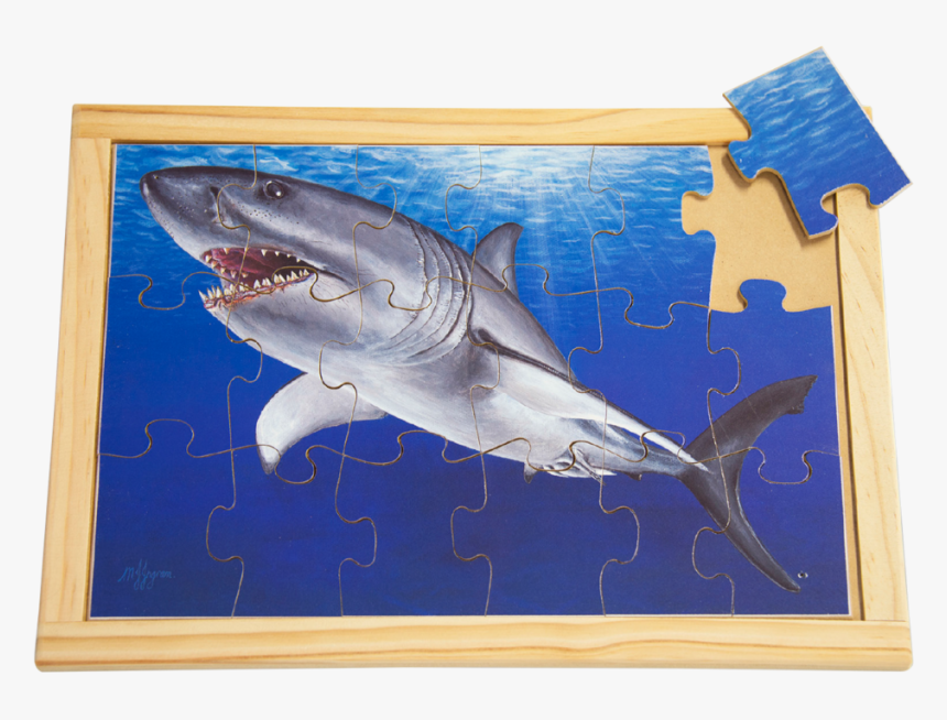 Great White Shark Puzzle - Great White Shark, HD Png Download