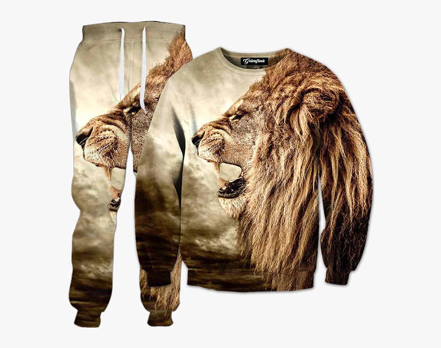 Two Lions, HD Png Download