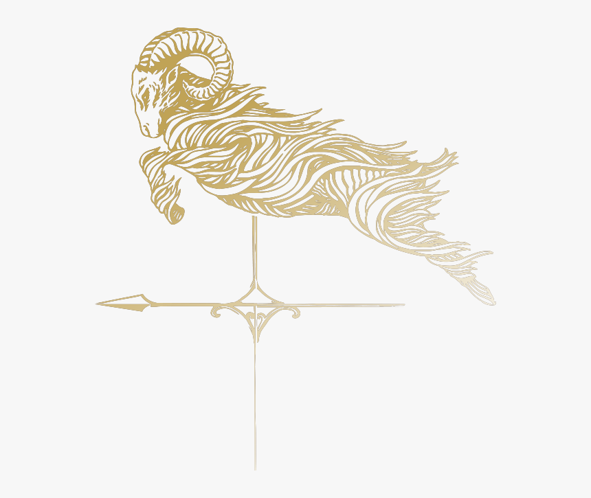 Chicken, HD Png Download