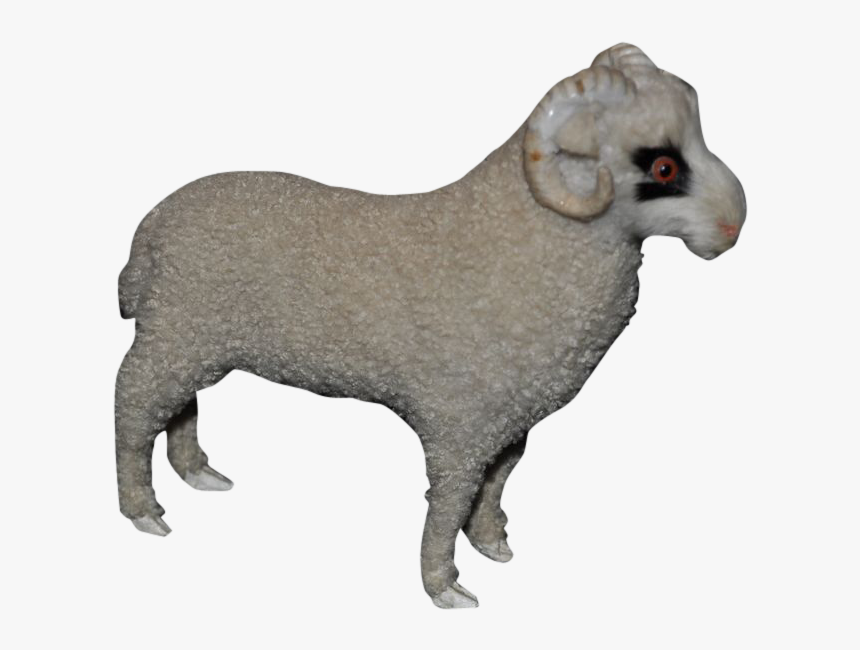 Bighorn, HD Png Download