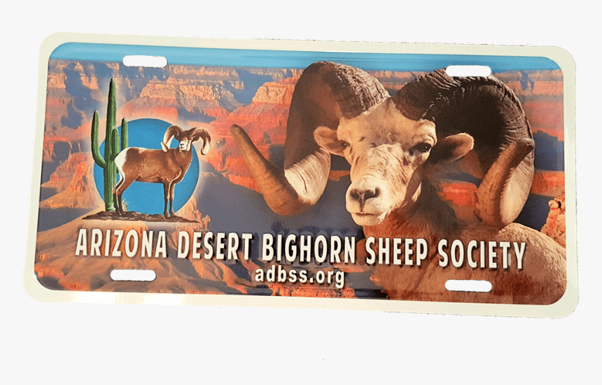 Bighorn, HD Png Download