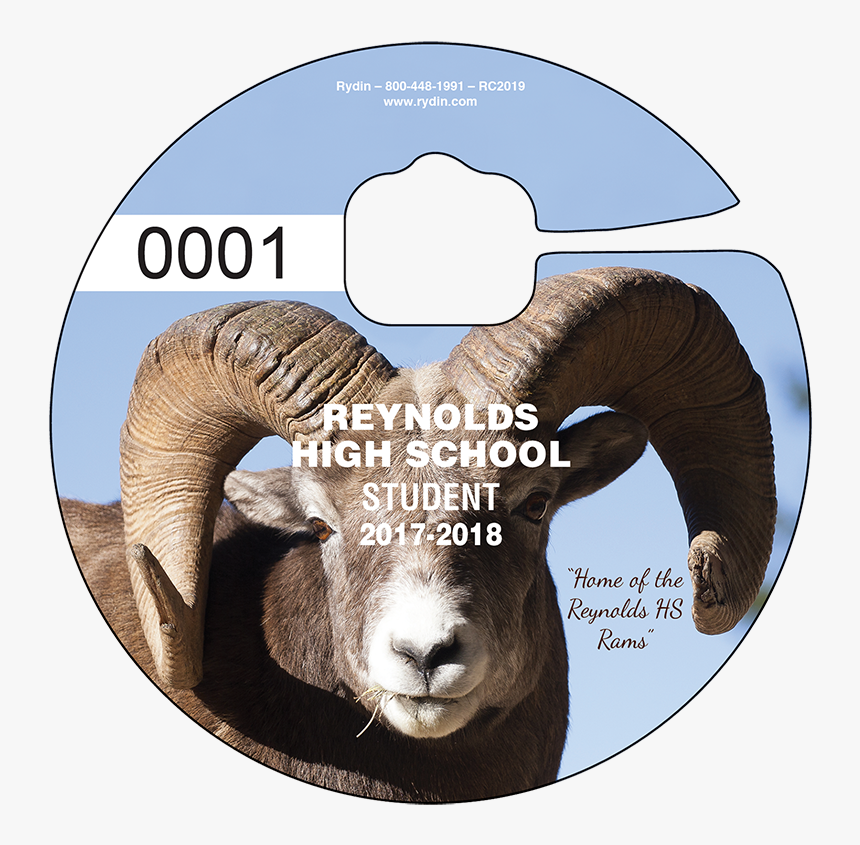 Bighorn, HD Png Download