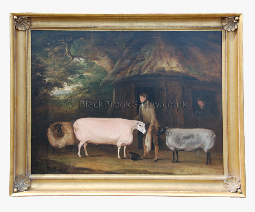 Picture Frame, HD Png Download