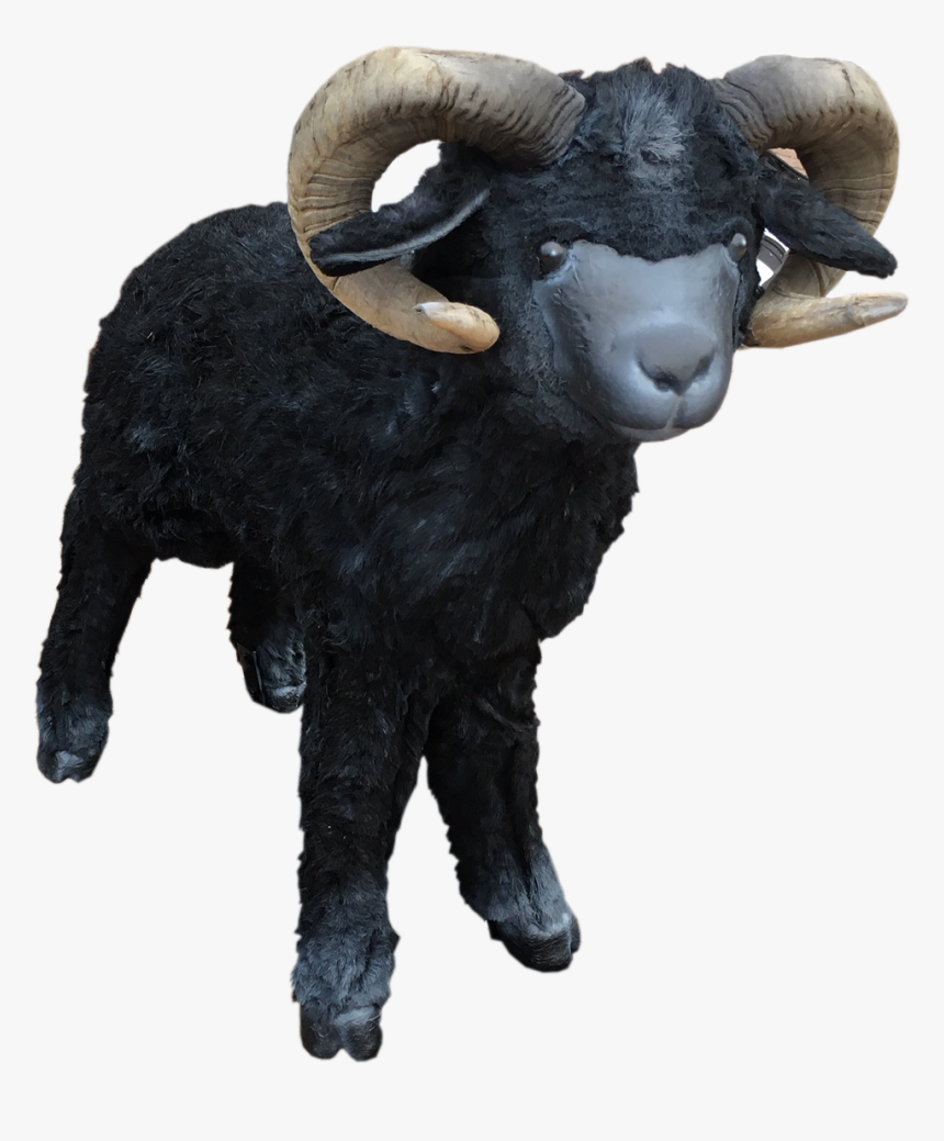 Bam The Ram Toy, HD Png Download
