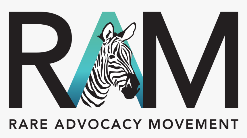 Logo- No Background - Zebra, HD Png Download