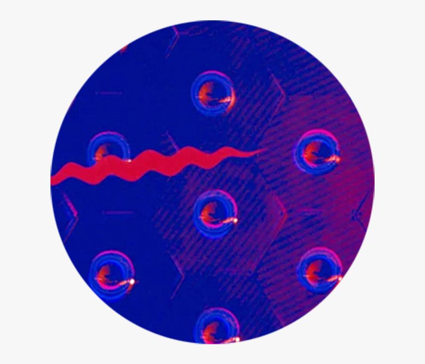 Circle , Png Download - Circle, Transparent Png