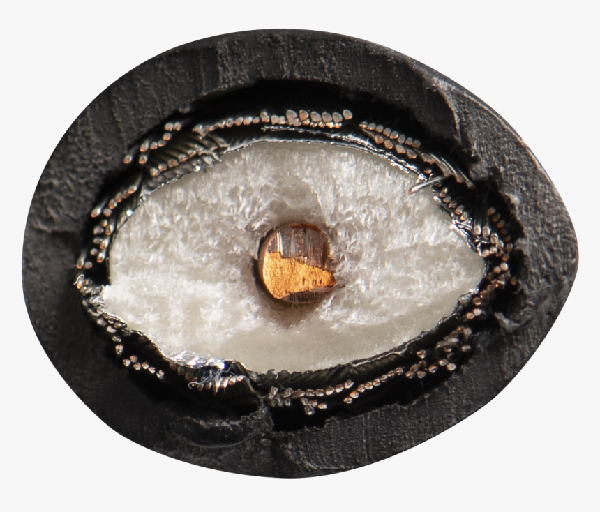 Circle, HD Png Download