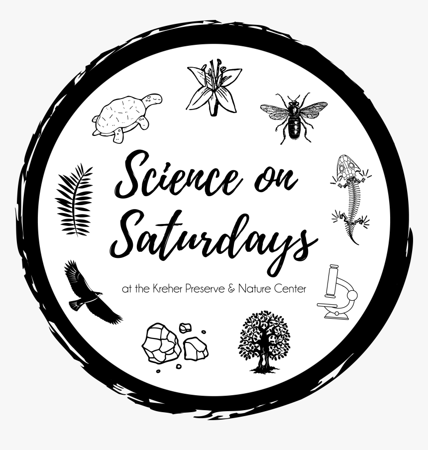 Saturdays Big Shirts Messy Hair, HD Png Download