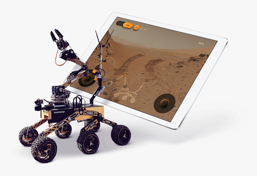 Raptors Png, Transparent Png