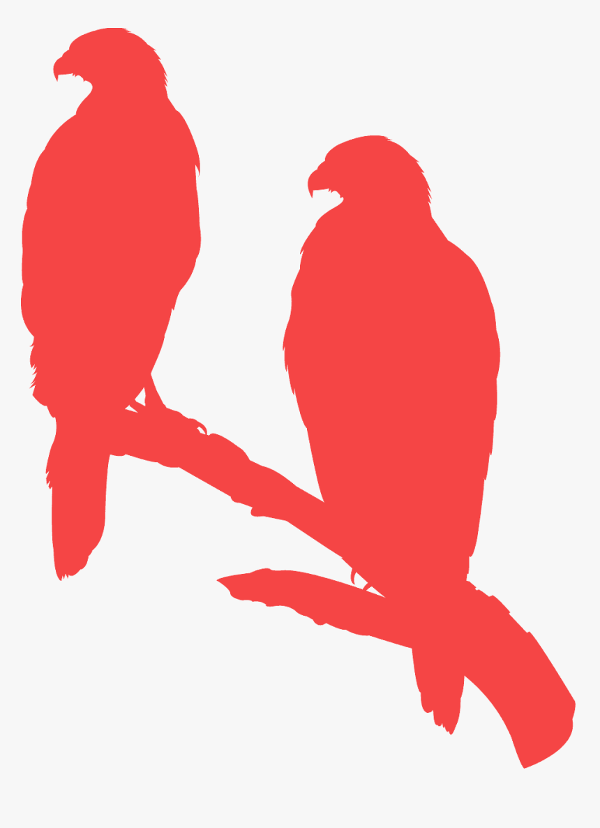 Siluetas De Aves Rapaces, HD Png Download
