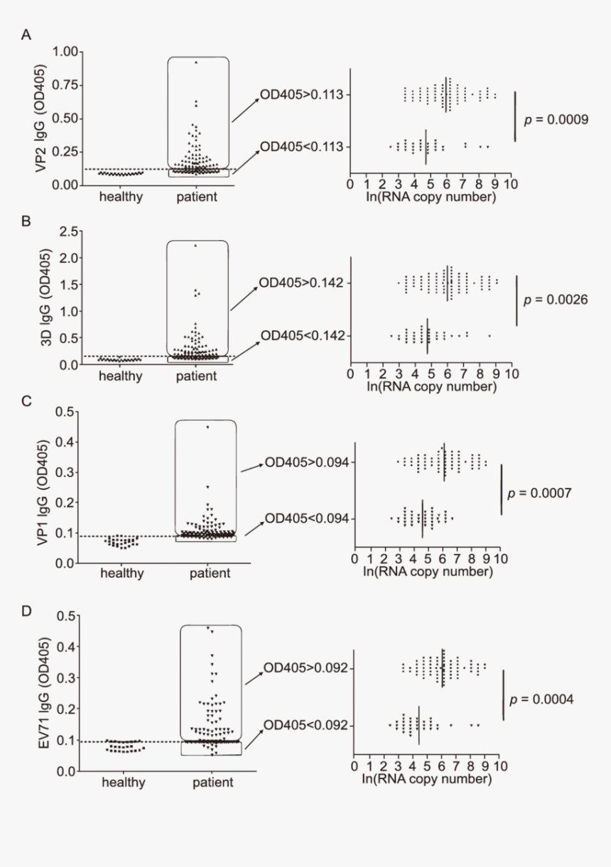 Document, HD Png Download