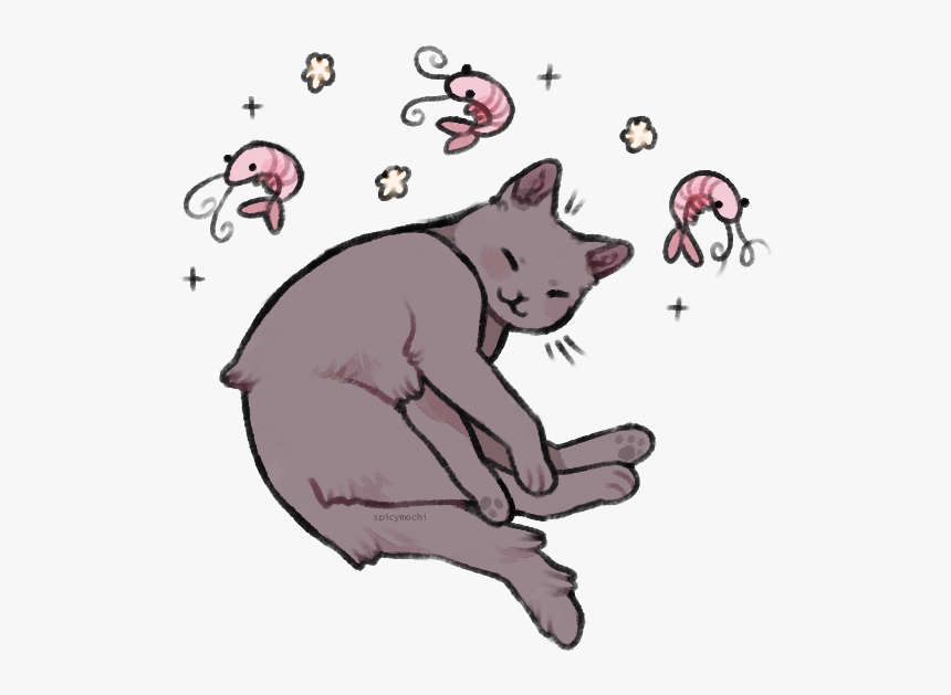 Shrimp Pose - Cat Shrimp, HD Png Download