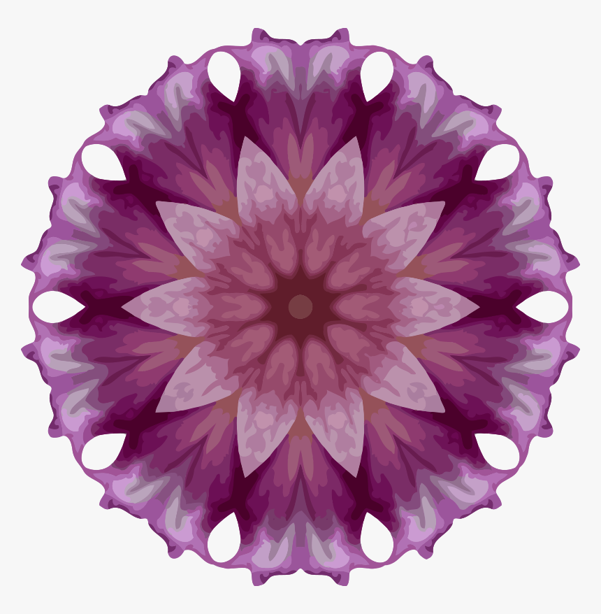 Dahlia, HD Png Download
