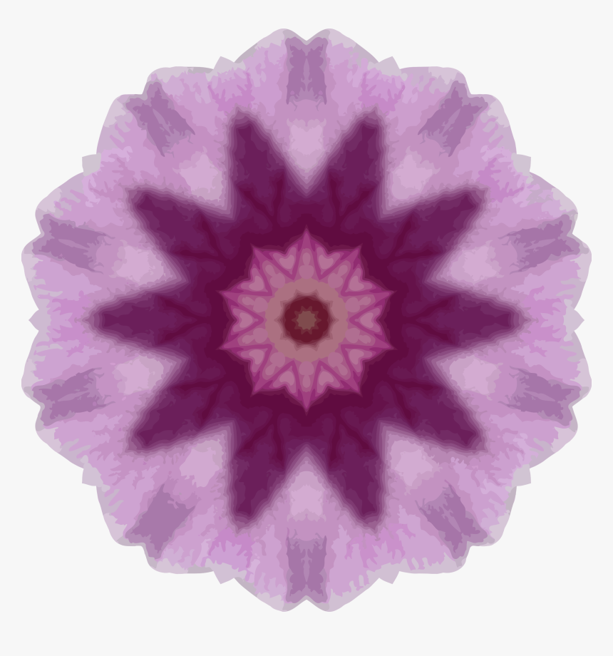 Orchid Kaleidoscope 14 Clip Arts - Ball Of Whacks Turtle, HD Png Download