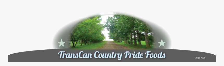 Transcan - Oak, HD Png Download