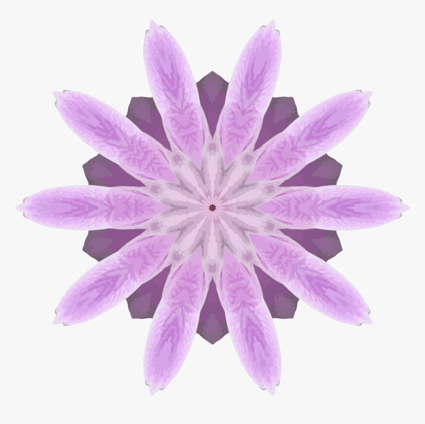 Orchid Kaleidoscope 10 Clip Arts - Water Lily, HD Png Download