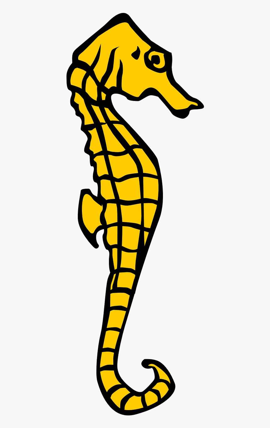 Seahorse Clipart, HD Png Download